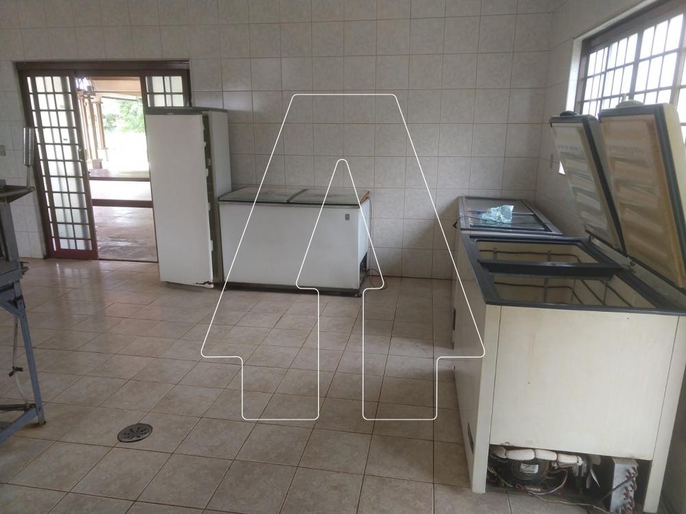 Comprar Rural / Chácara em Araçatuba R$ 850.000,00 - Foto 7