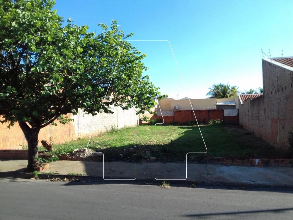 Comprar Terreno / Padrão em Araçatuba R$ 165.000,00 - Foto 2