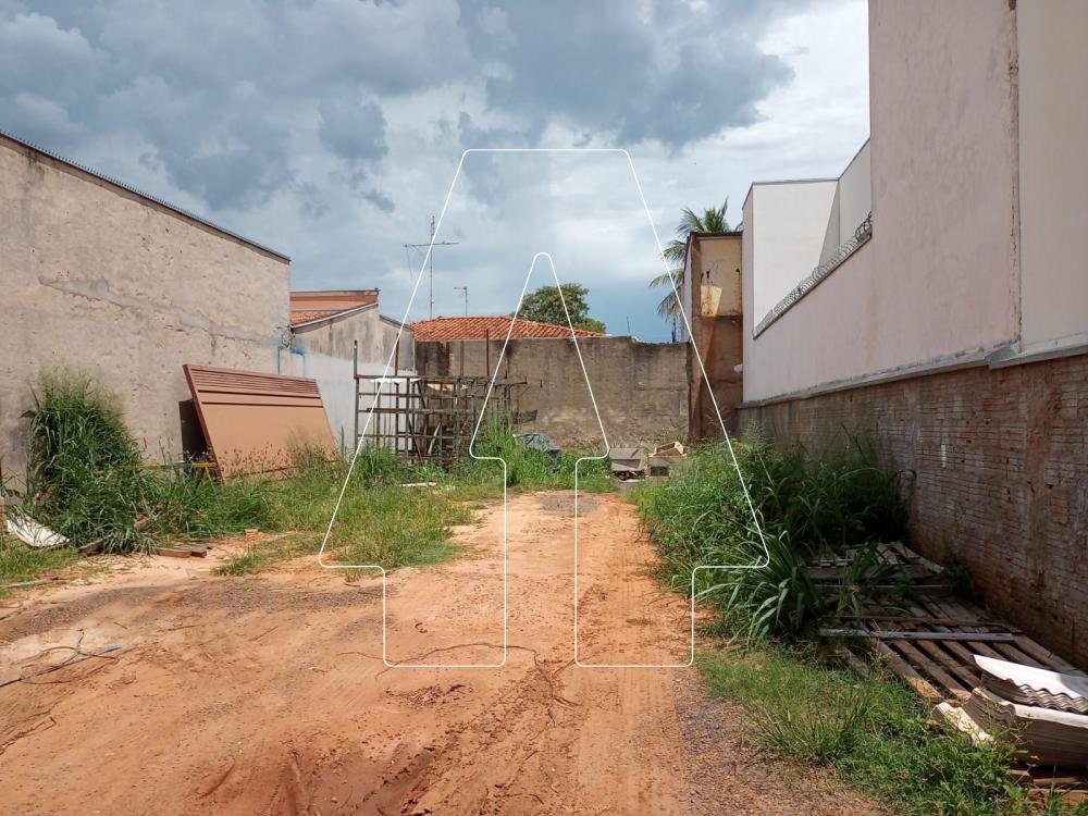 Comprar Terreno / Padrão em Araçatuba R$ 170.000,00 - Foto 1