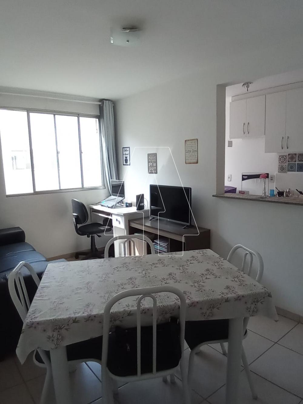 Alugar Apartamento / Padrão em Araçatuba R$ 600,00 - Foto 1