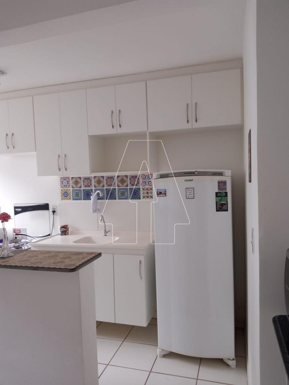 Alugar Apartamento / Padrão em Araçatuba R$ 600,00 - Foto 3