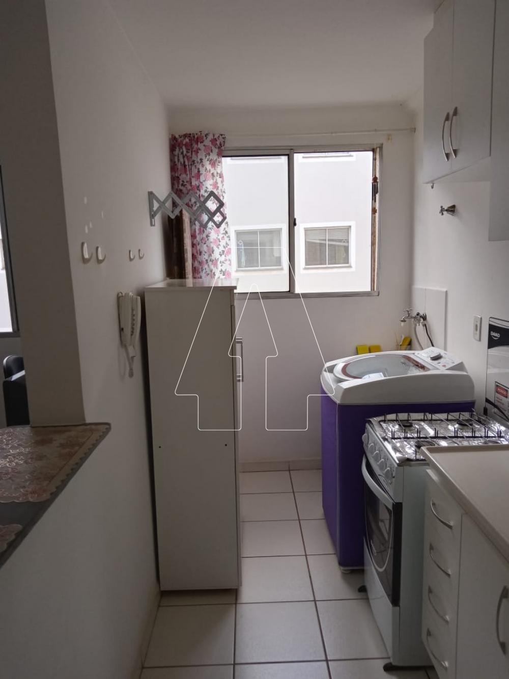 Alugar Apartamento / Padrão em Araçatuba R$ 600,00 - Foto 4