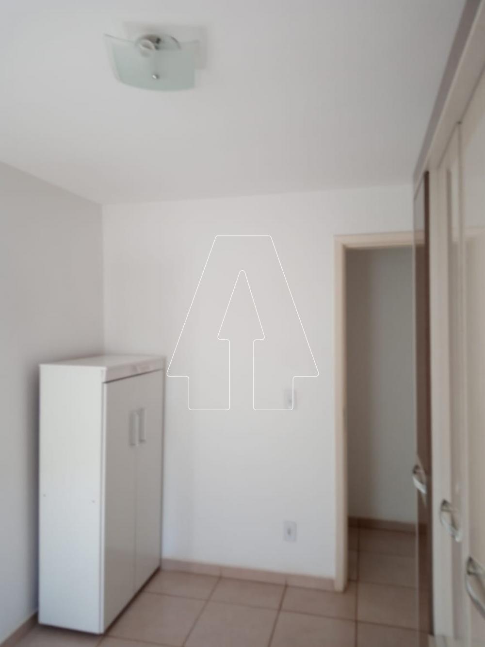 Alugar Apartamento / Padrão em Araçatuba R$ 600,00 - Foto 8