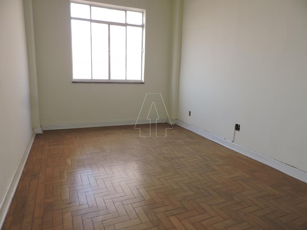 Alugar Comercial / Sala em Araçatuba R$ 500,00 - Foto 1