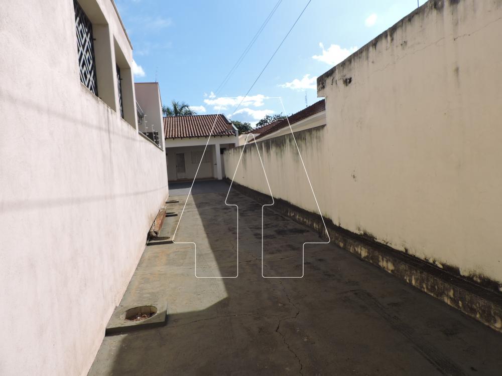 Alugar Casa / Residencial em Araçatuba R$ 1.300,00 - Foto 1