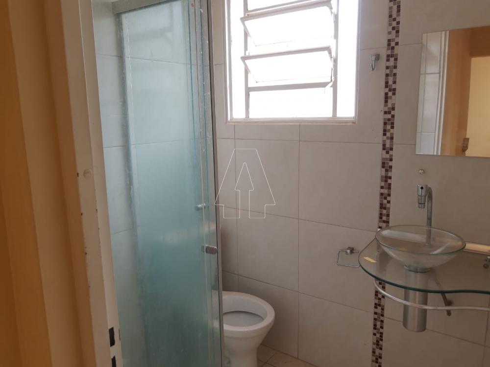 Alugar Apartamento / Padrão em Araçatuba R$ 550,00 - Foto 3