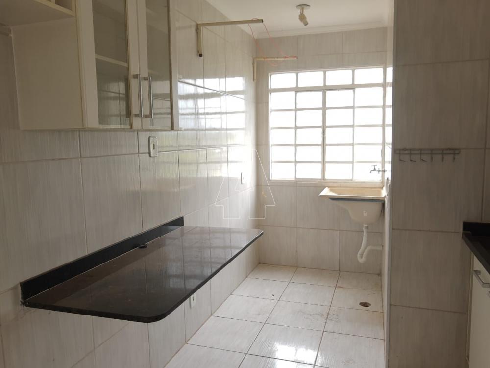 Alugar Apartamento / Padrão em Araçatuba R$ 550,00 - Foto 5