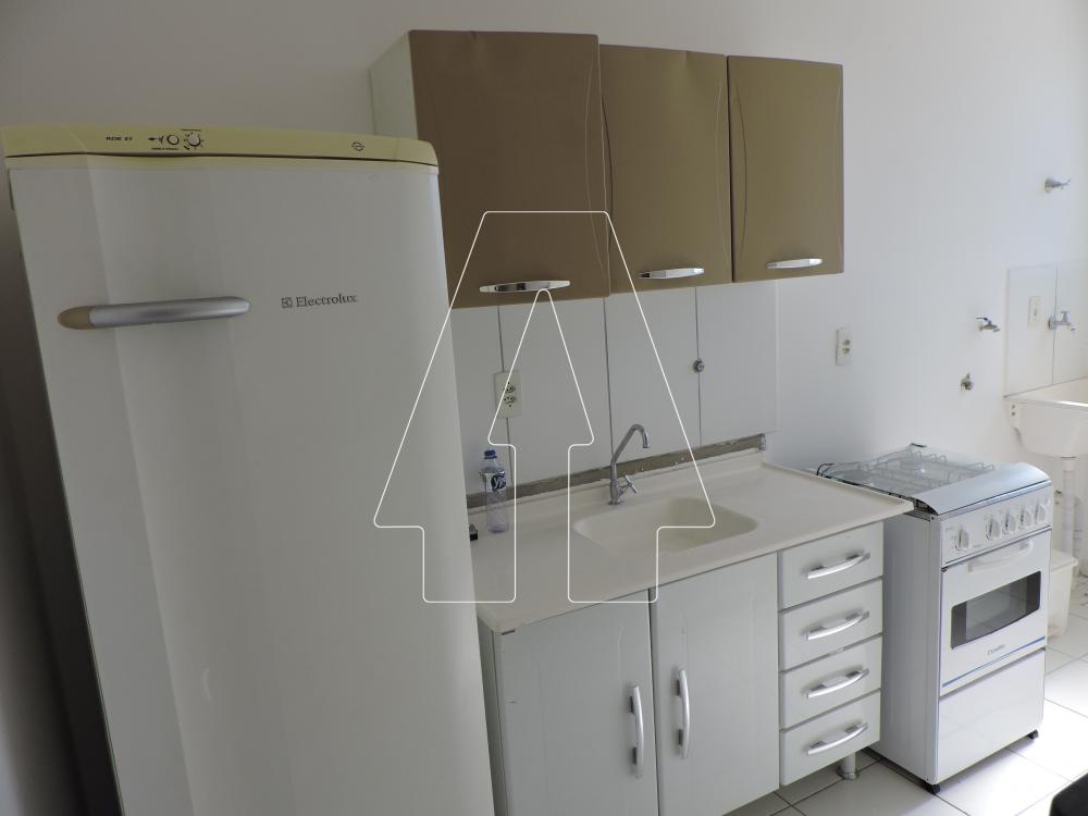 Alugar Apartamento / Padrão em Araçatuba R$ 1.200,00 - Foto 2