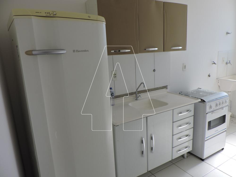 Alugar Apartamento / Padrão em Araçatuba R$ 1.200,00 - Foto 3