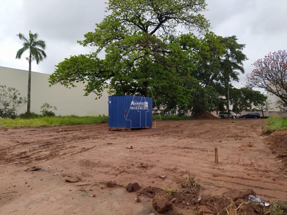 Alugar Terreno / Padrão em Araçatuba R$ 3.000,00 - Foto 1