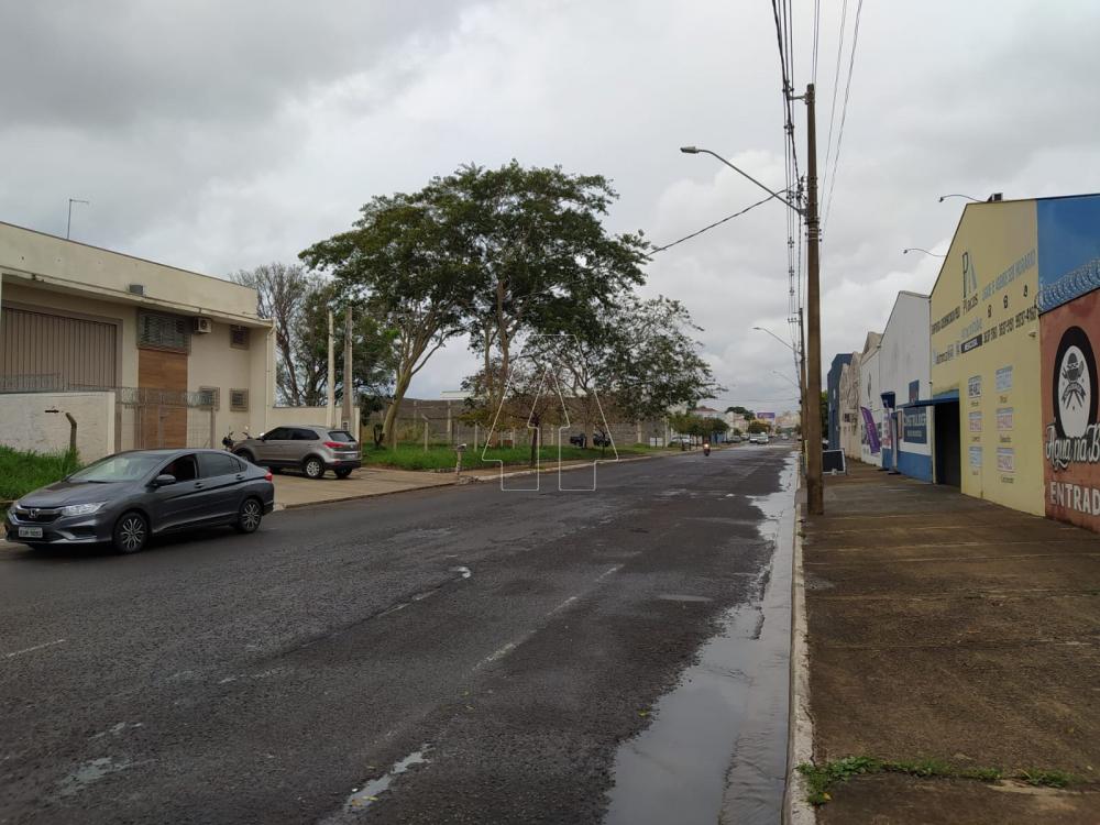 Alugar Terreno / Padrão em Araçatuba R$ 3.000,00 - Foto 3