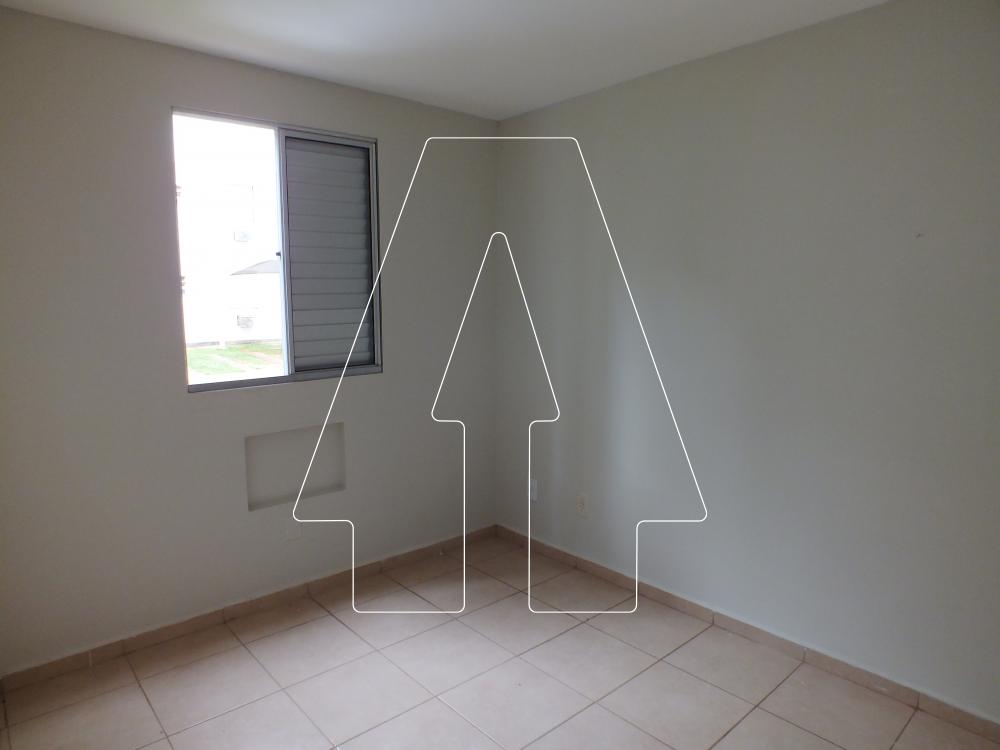 Alugar Apartamento / Padrão em Araçatuba R$ 800,00 - Foto 5