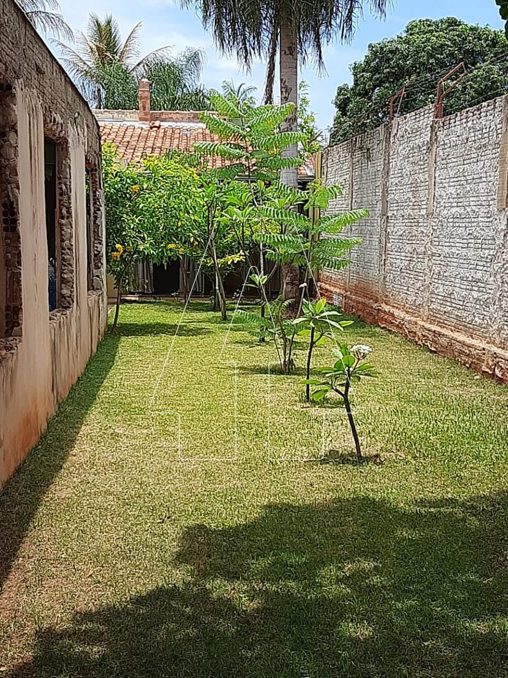 Comprar Rural / Chácara em Araçatuba R$ 380.000,00 - Foto 3