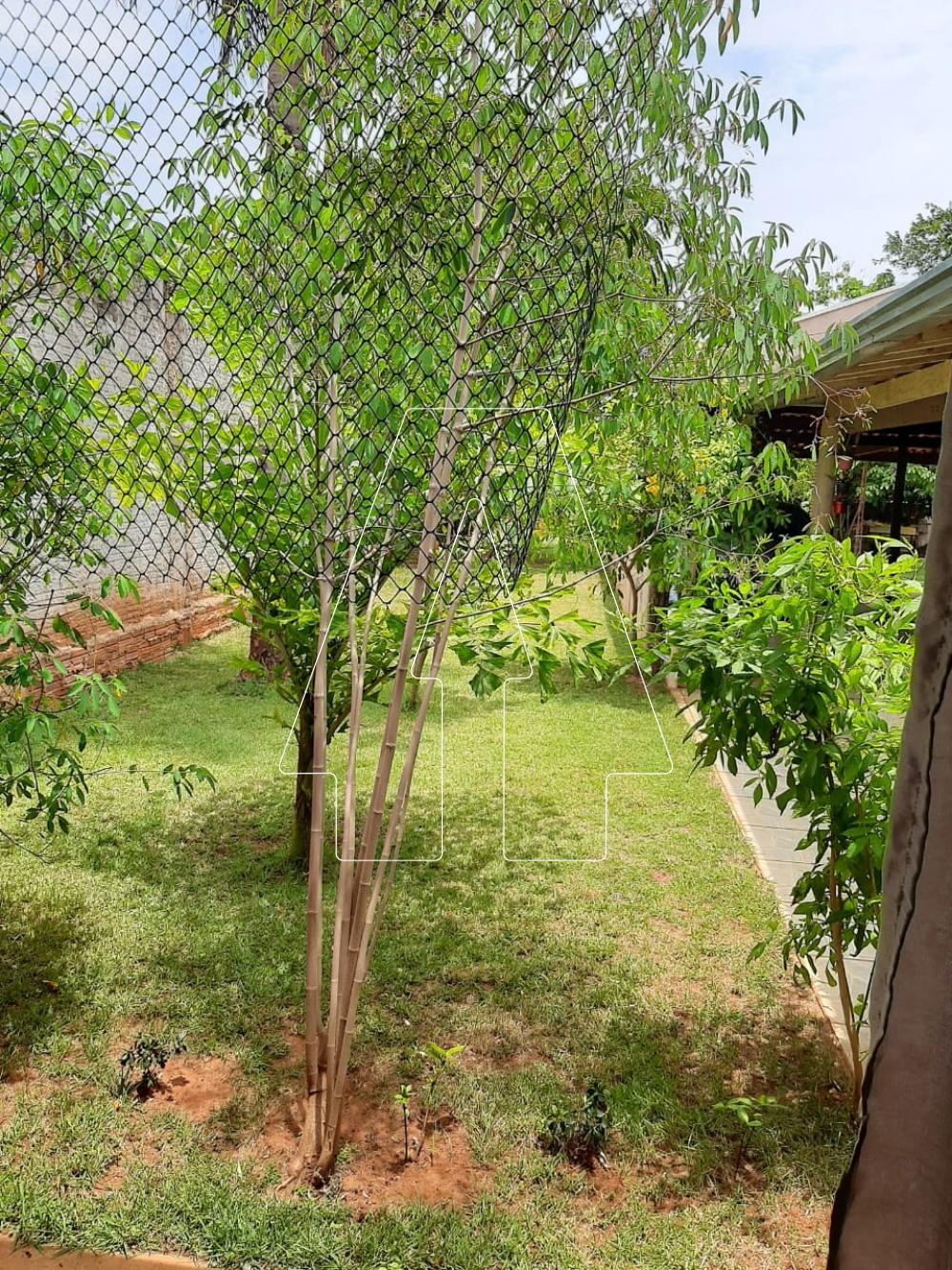 Comprar Rural / Chácara em Araçatuba R$ 380.000,00 - Foto 4