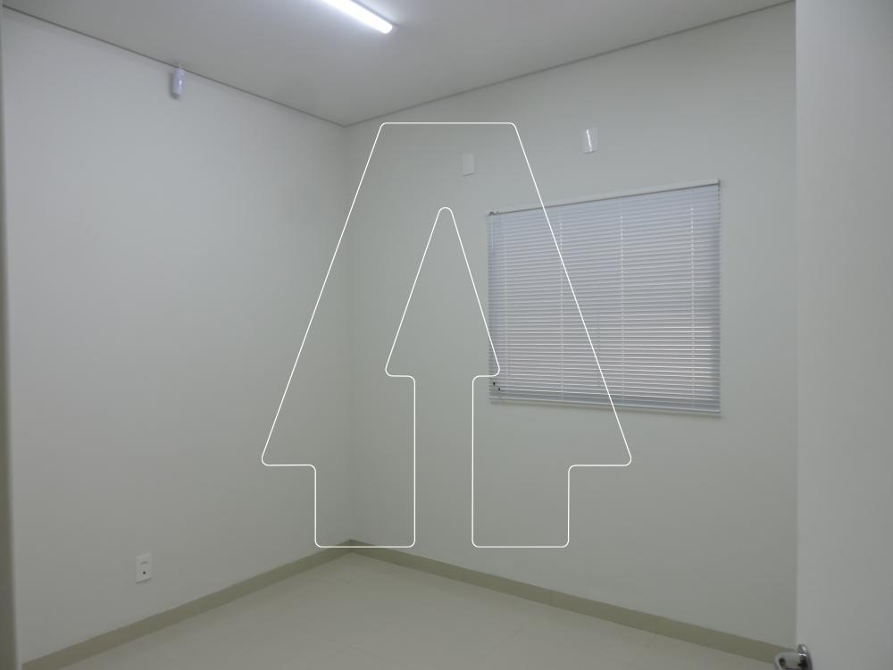 Alugar Comercial / Sala em Araçatuba R$ 950,00 - Foto 1