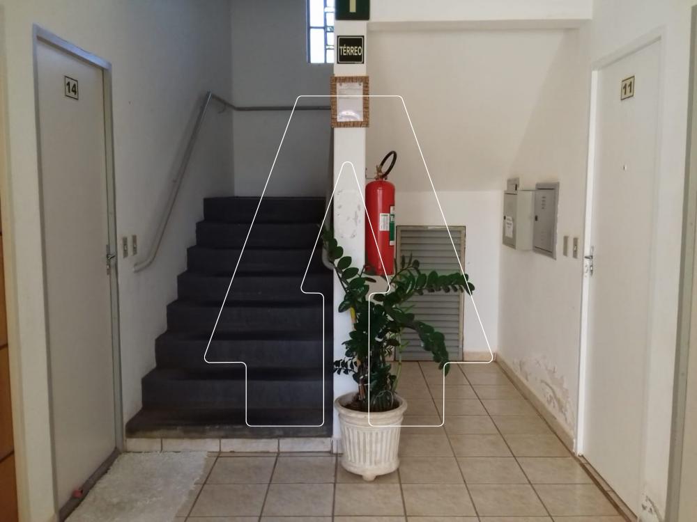 Alugar Apartamento / Padrão em Araçatuba R$ 850,00 - Foto 1