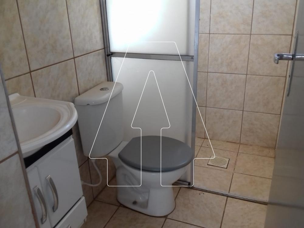 Alugar Apartamento / Padrão em Araçatuba R$ 850,00 - Foto 8