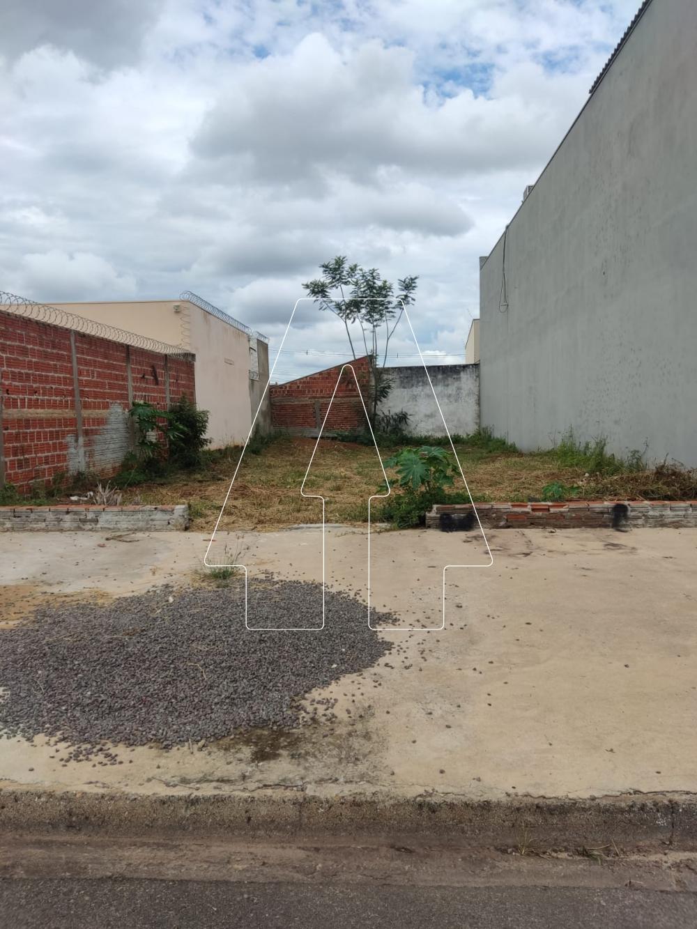 Comprar Terreno / Padrão em Araçatuba R$ 140.000,00 - Foto 2