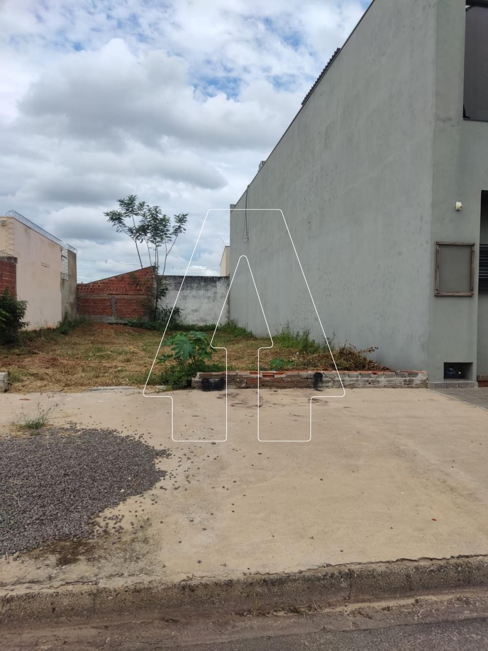 Comprar Terreno / Padrão em Araçatuba R$ 140.000,00 - Foto 5