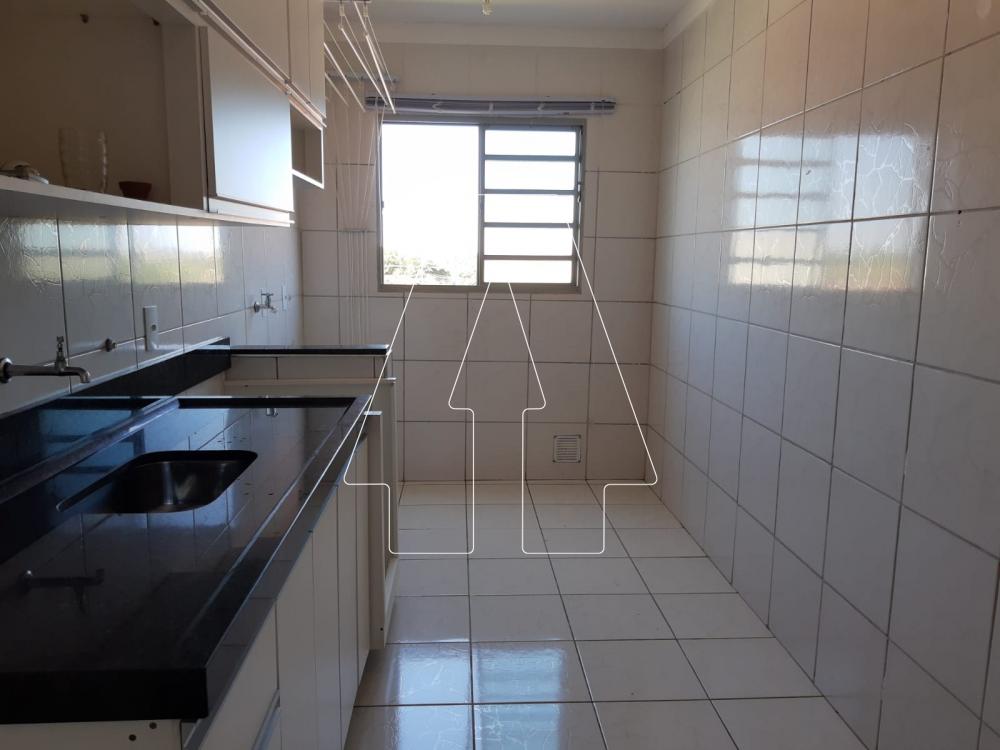 Alugar Apartamento / Padrão em Araçatuba R$ 850,00 - Foto 23