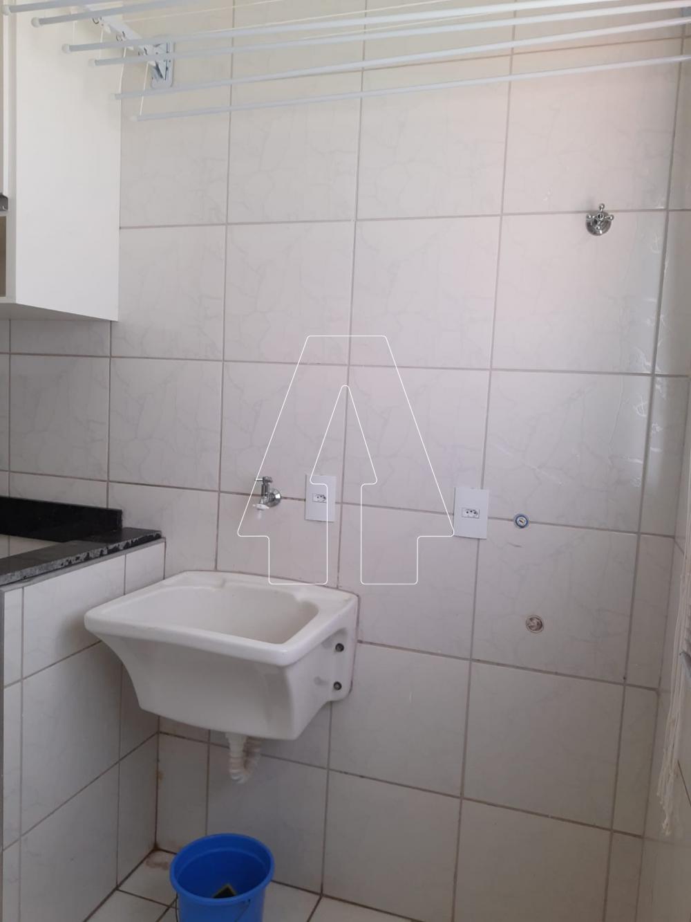 Alugar Apartamento / Padrão em Araçatuba R$ 850,00 - Foto 26