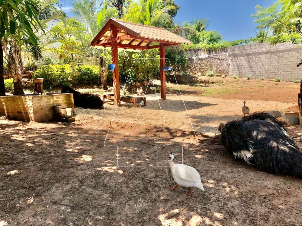 Comprar Casa / Residencial em Araçatuba - Foto 34