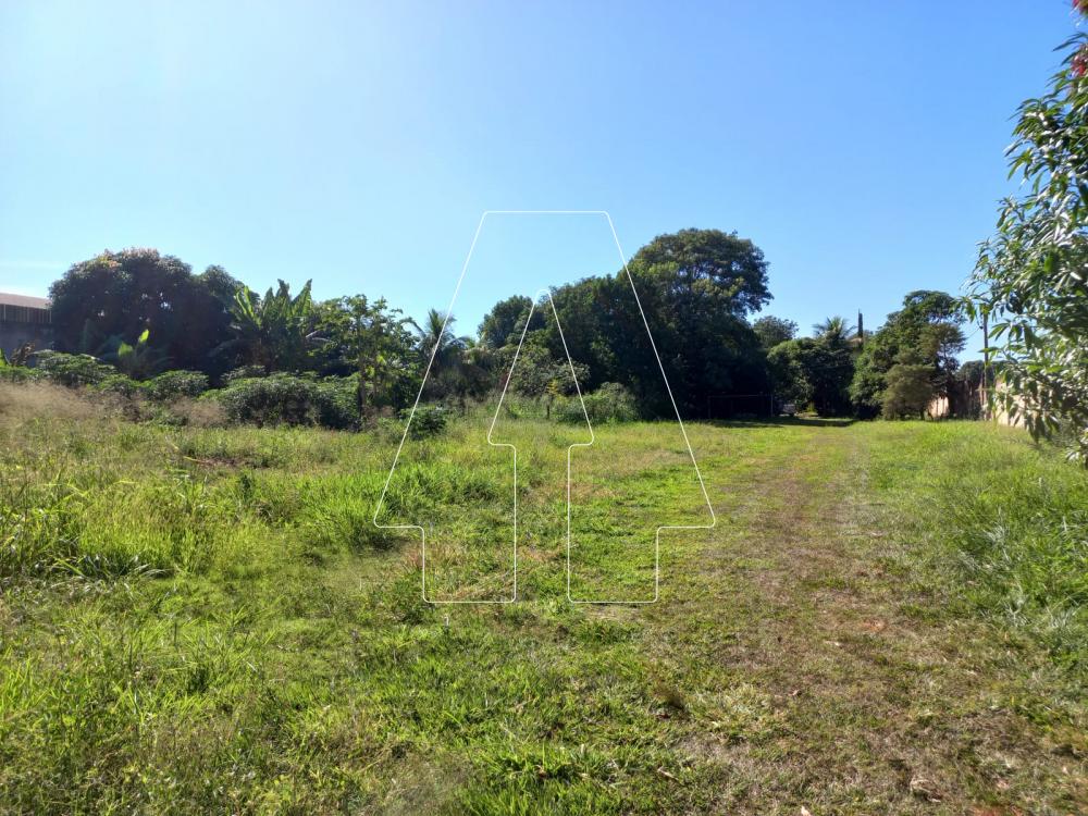 Alugar Rural / Chácara em Araçatuba R$ 4.000,00 - Foto 16