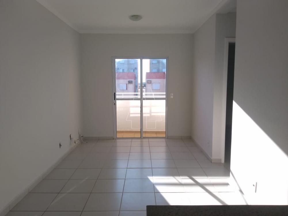 Alugar Apartamento / Padrão em Araçatuba R$ 600,00 - Foto 1