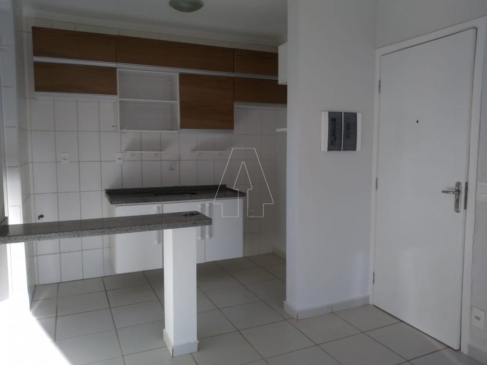 Alugar Apartamento / Padrão em Araçatuba R$ 600,00 - Foto 9