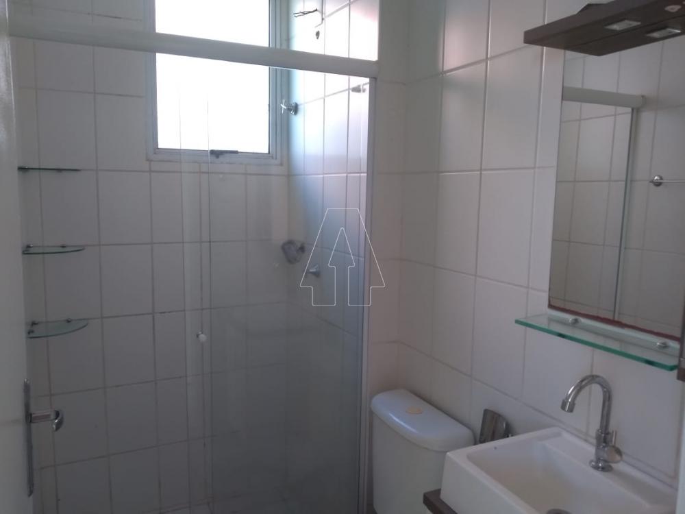 Alugar Apartamento / Padrão em Araçatuba R$ 600,00 - Foto 4