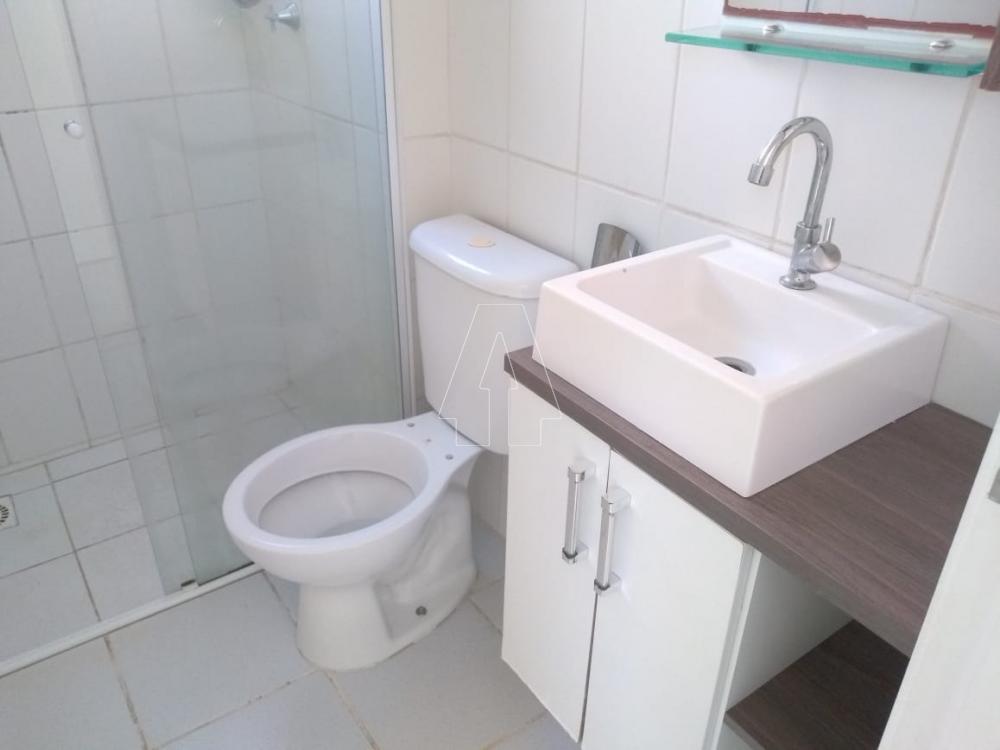 Alugar Apartamento / Padrão em Araçatuba R$ 600,00 - Foto 7