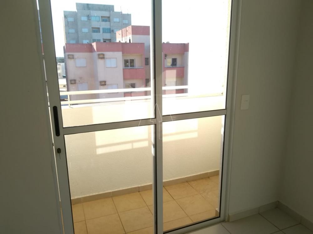 Alugar Apartamento / Padrão em Araçatuba R$ 600,00 - Foto 2