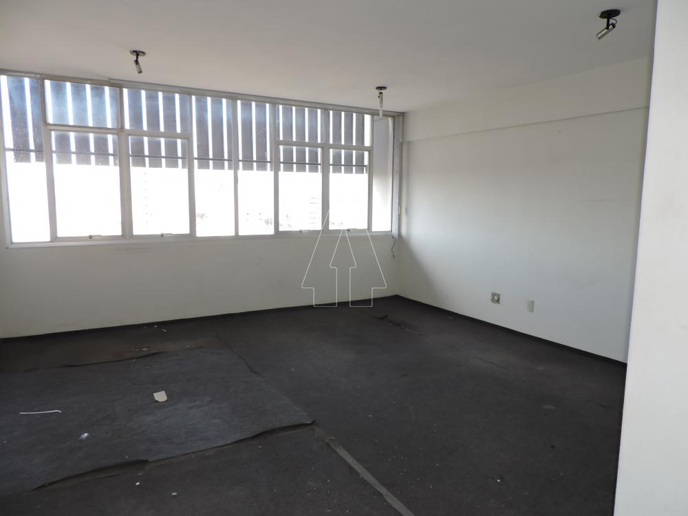 Alugar Comercial / Sala em Araçatuba R$ 750,00 - Foto 2