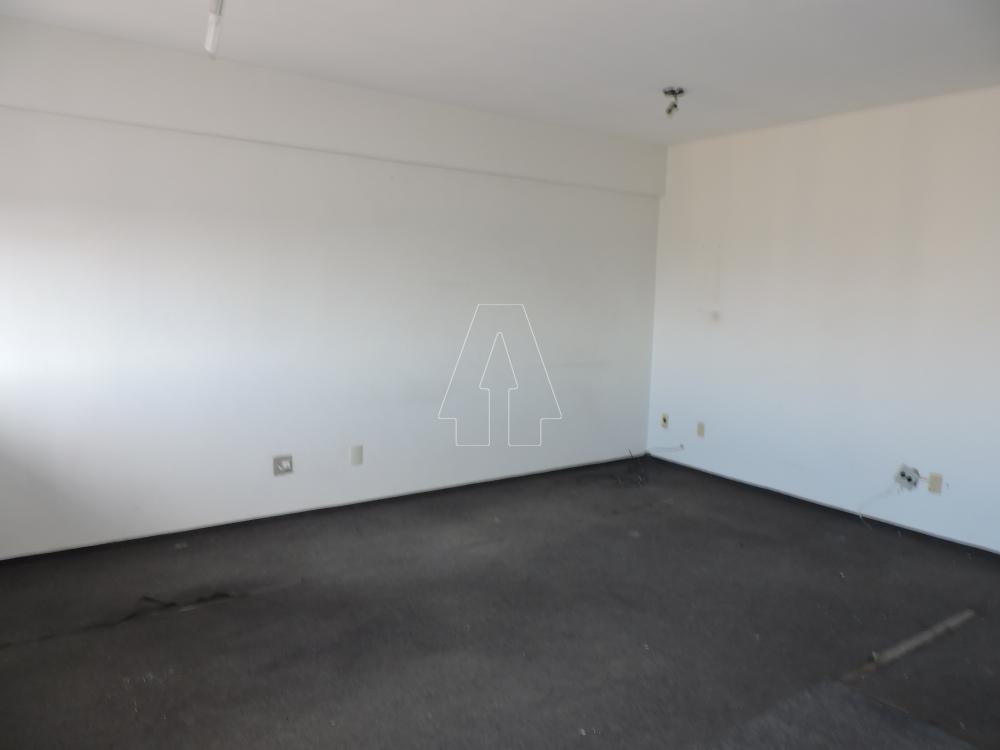 Alugar Comercial / Sala em Araçatuba R$ 750,00 - Foto 4