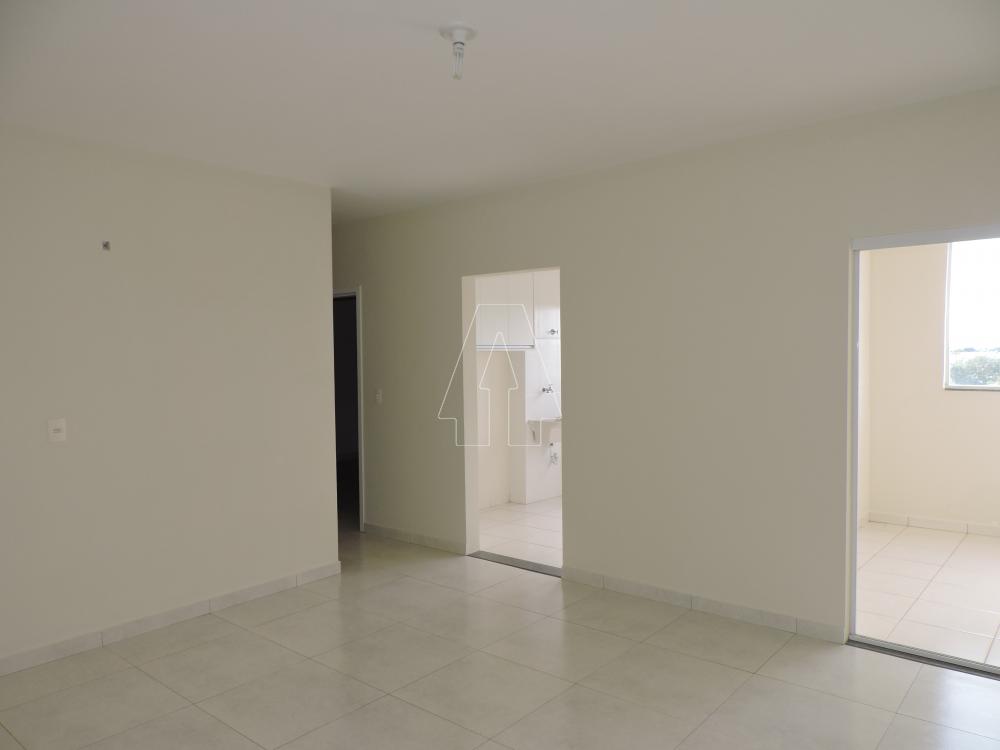 Alugar Apartamento / Padrão em Araçatuba R$ 1.400,00 - Foto 1