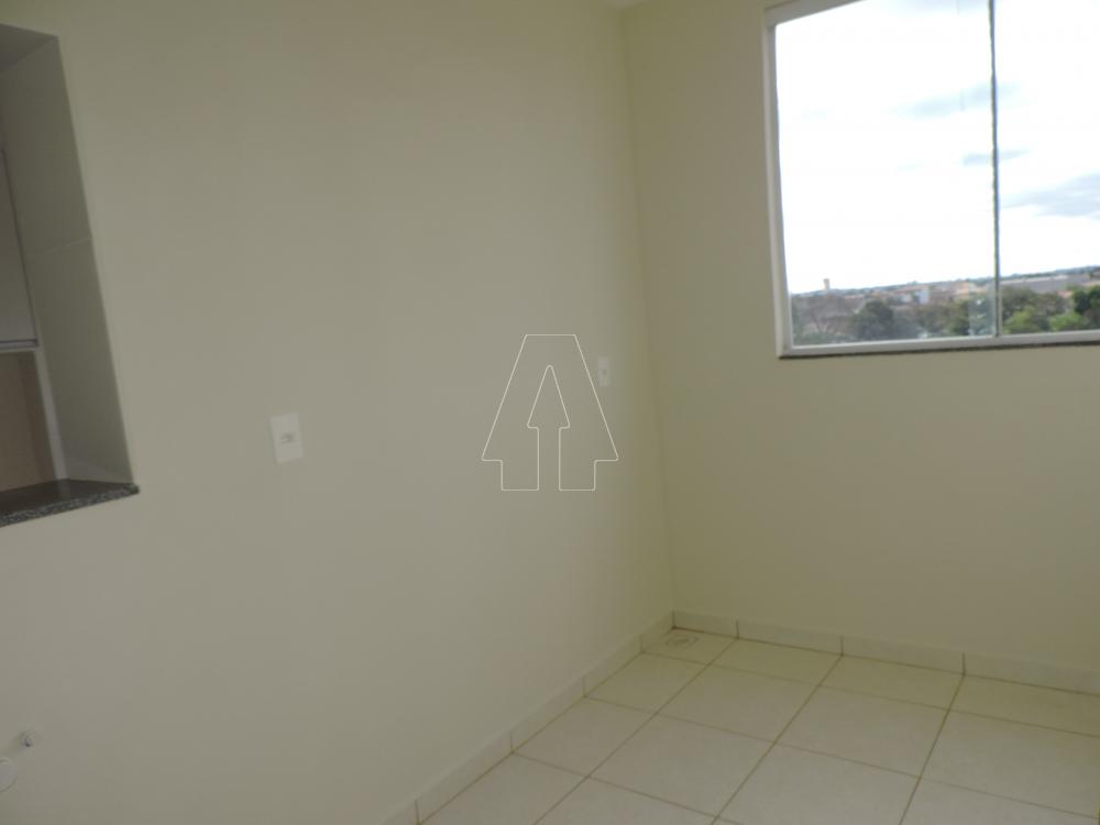 Alugar Apartamento / Padrão em Araçatuba R$ 1.400,00 - Foto 4