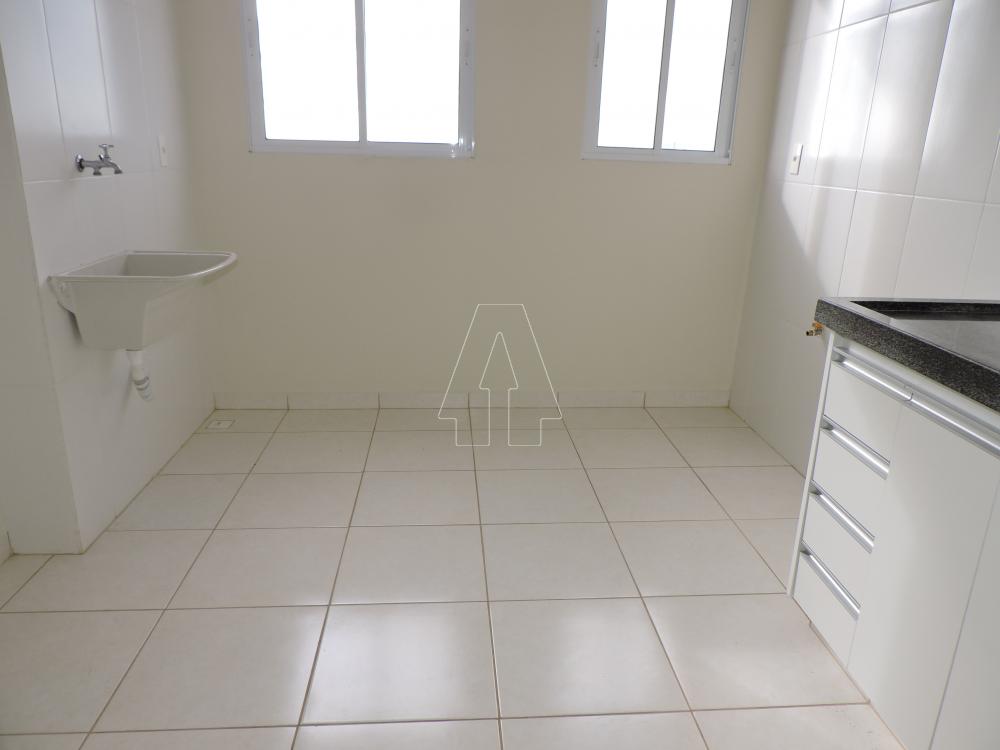 Alugar Apartamento / Padrão em Araçatuba R$ 1.400,00 - Foto 5