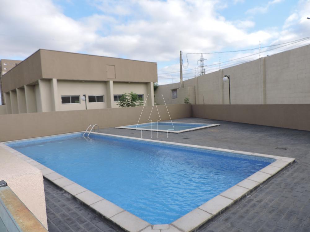 Alugar Apartamento / Padrão em Araçatuba R$ 1.400,00 - Foto 10