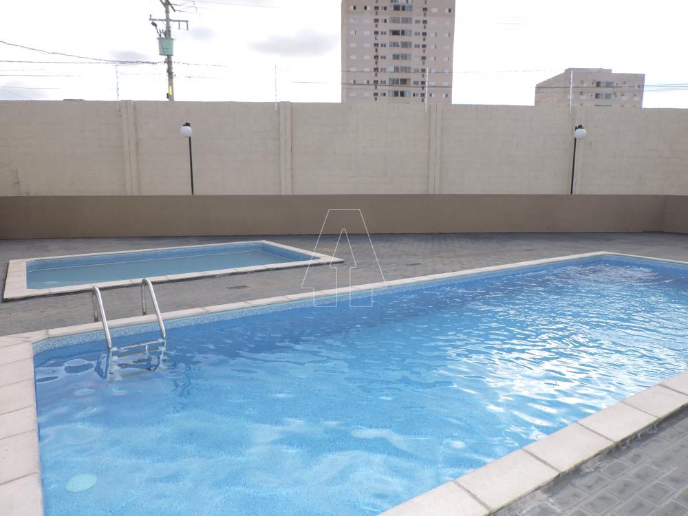 Alugar Apartamento / Padrão em Araçatuba R$ 1.400,00 - Foto 11