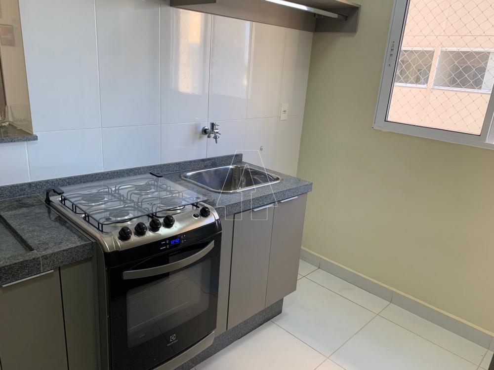 Alugar Apartamento / Padrão em Araçatuba R$ 1.700,00 - Foto 6