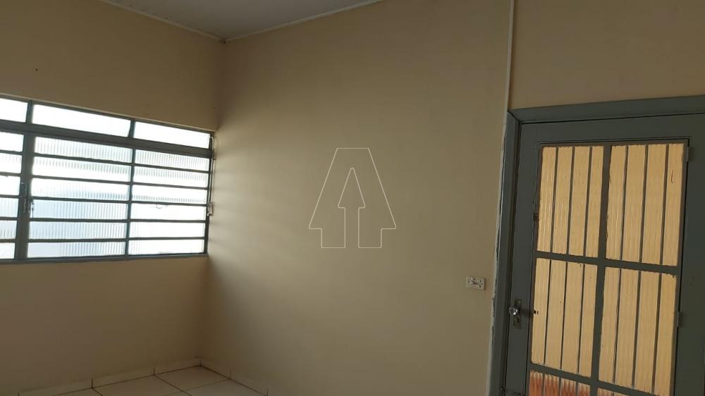 Alugar Casa / Residencial em Araçatuba R$ 800,00 - Foto 3