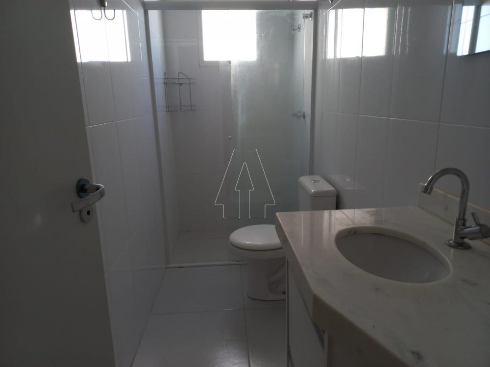 Alugar Apartamento / Padrão em Araçatuba R$ 1.900,00 - Foto 11