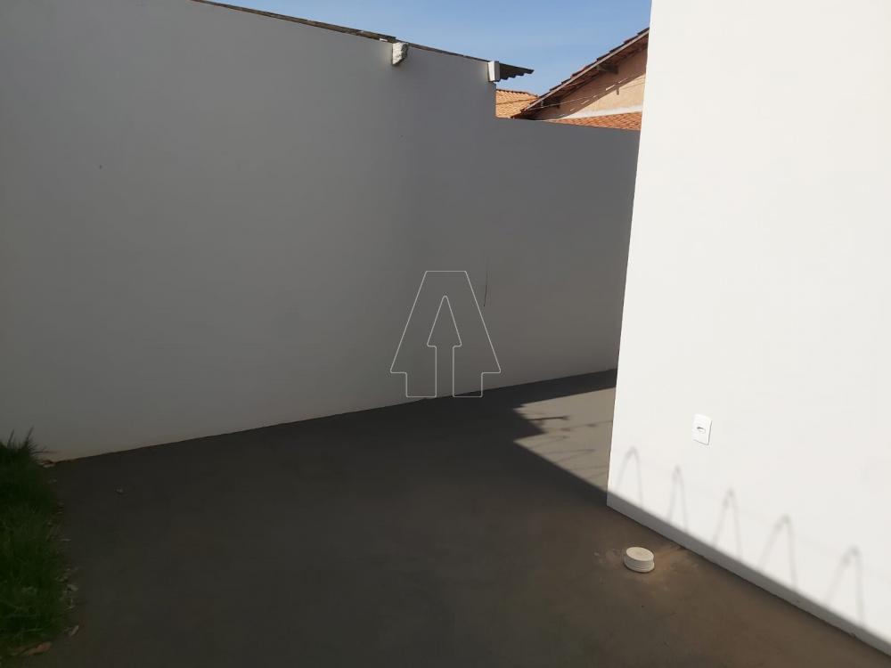 Alugar Casa / Residencial em Araçatuba R$ 2.200,00 - Foto 13