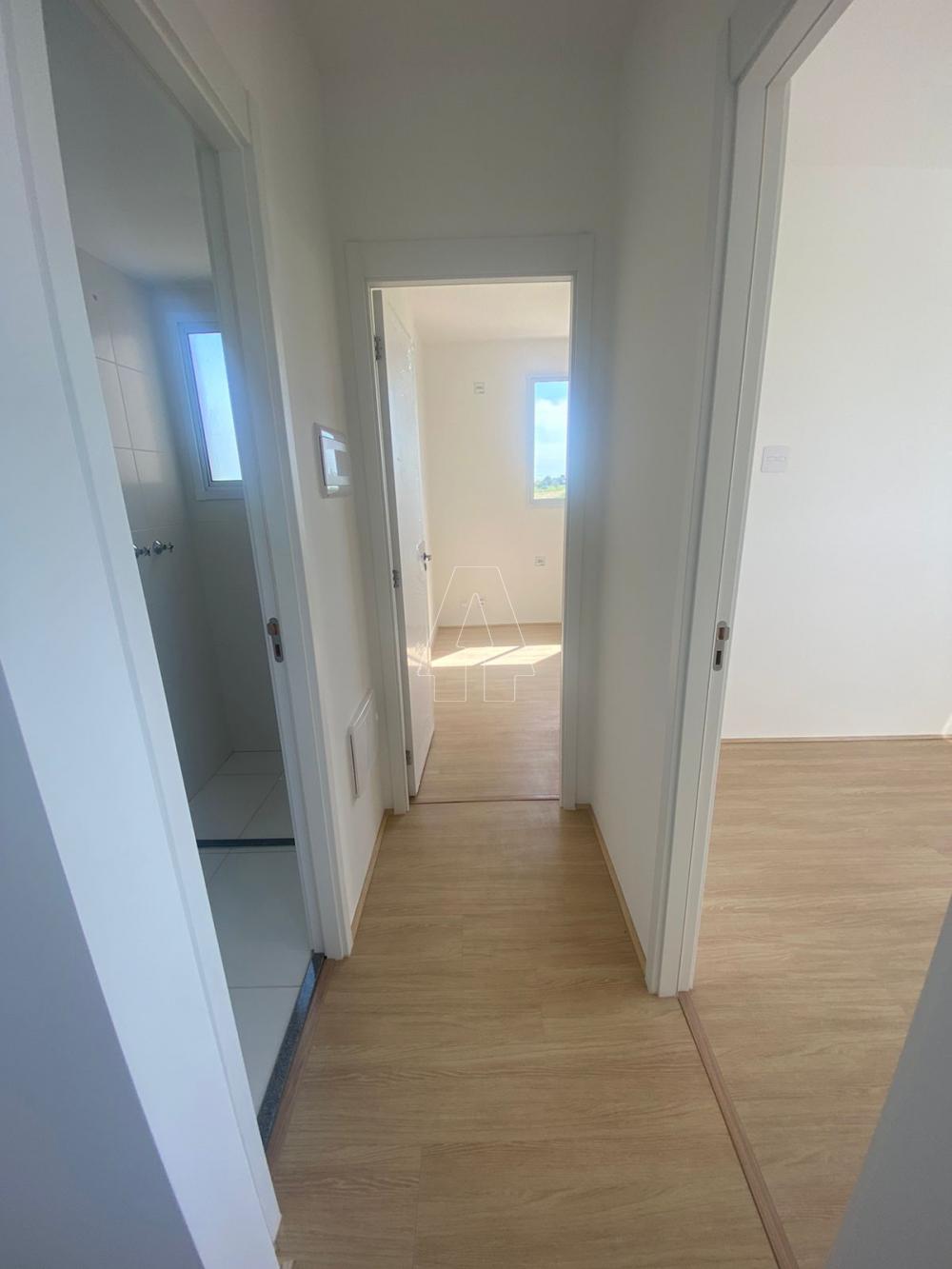 Alugar Apartamento / Padrão em Araçatuba R$ 1.200,00 - Foto 14