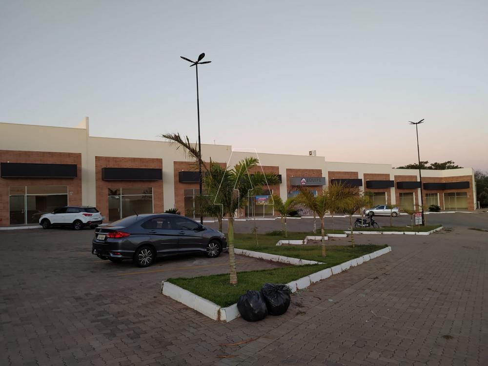 Alugar Comercial / Loja em Araçatuba R$ 1.600,00 - Foto 1