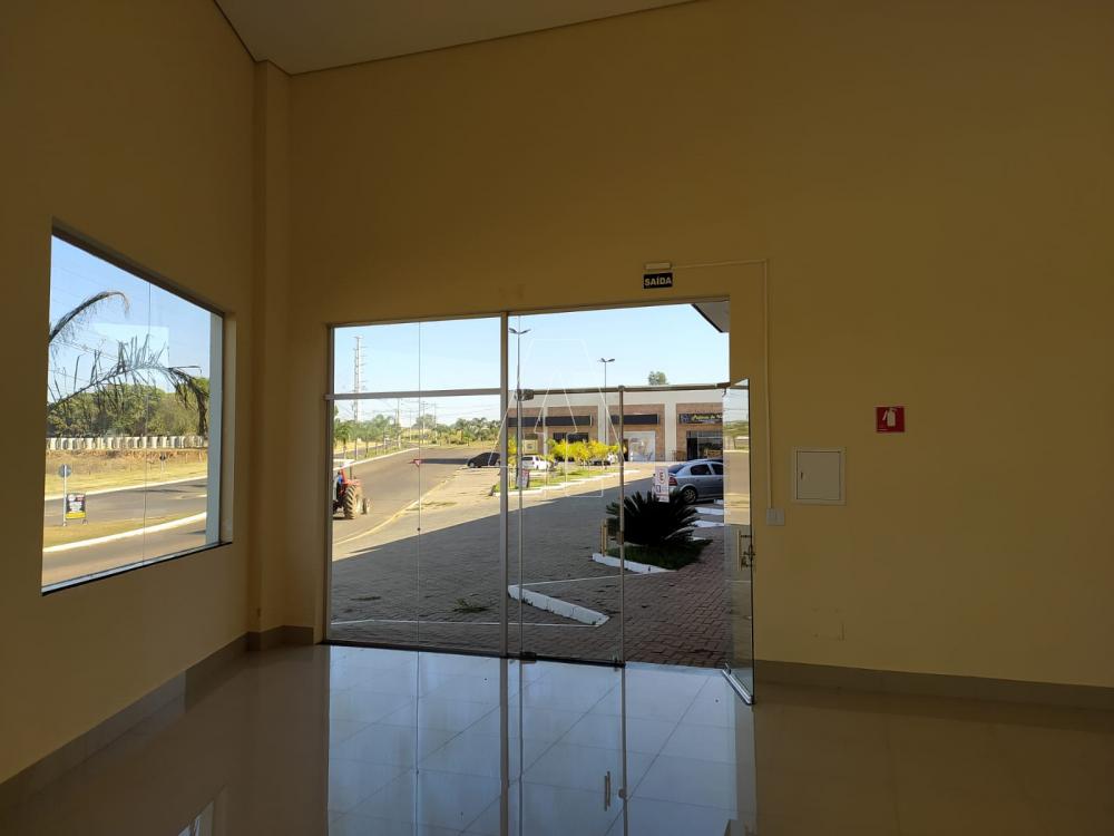 Alugar Comercial / Loja em Araçatuba R$ 1.850,00 - Foto 1