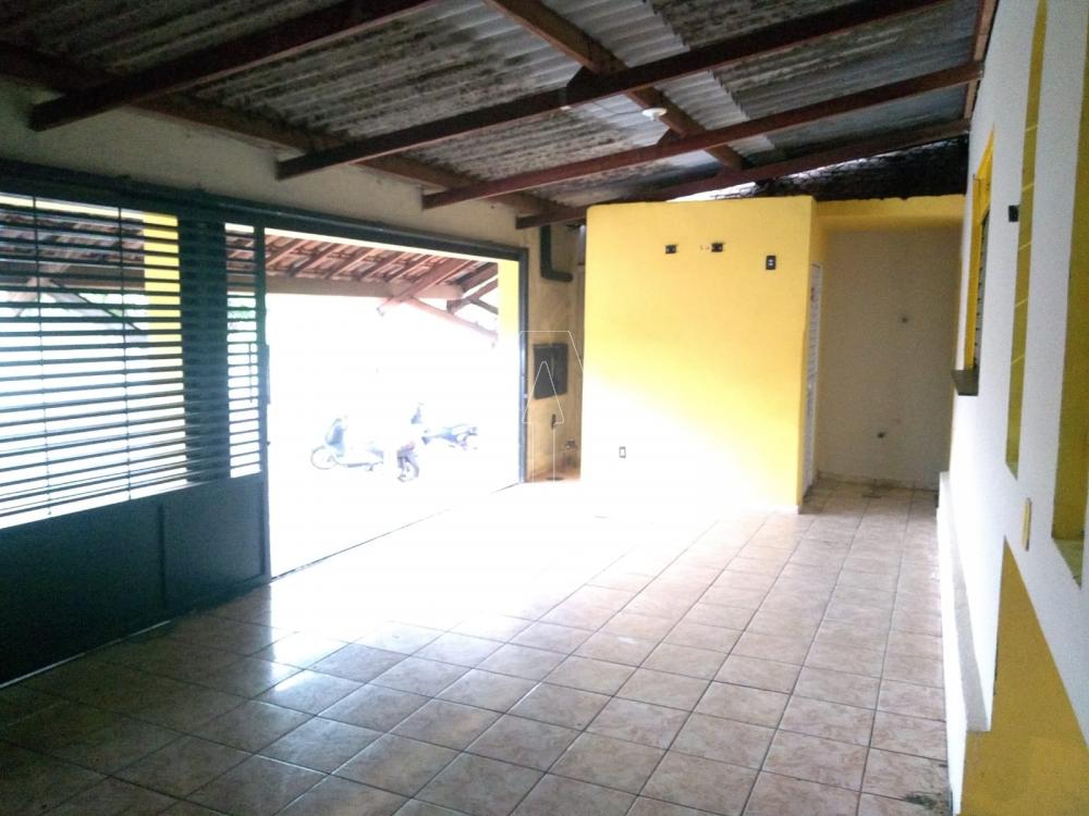 Alugar Comercial / Salão em Araçatuba R$ 1.300,00 - Foto 1