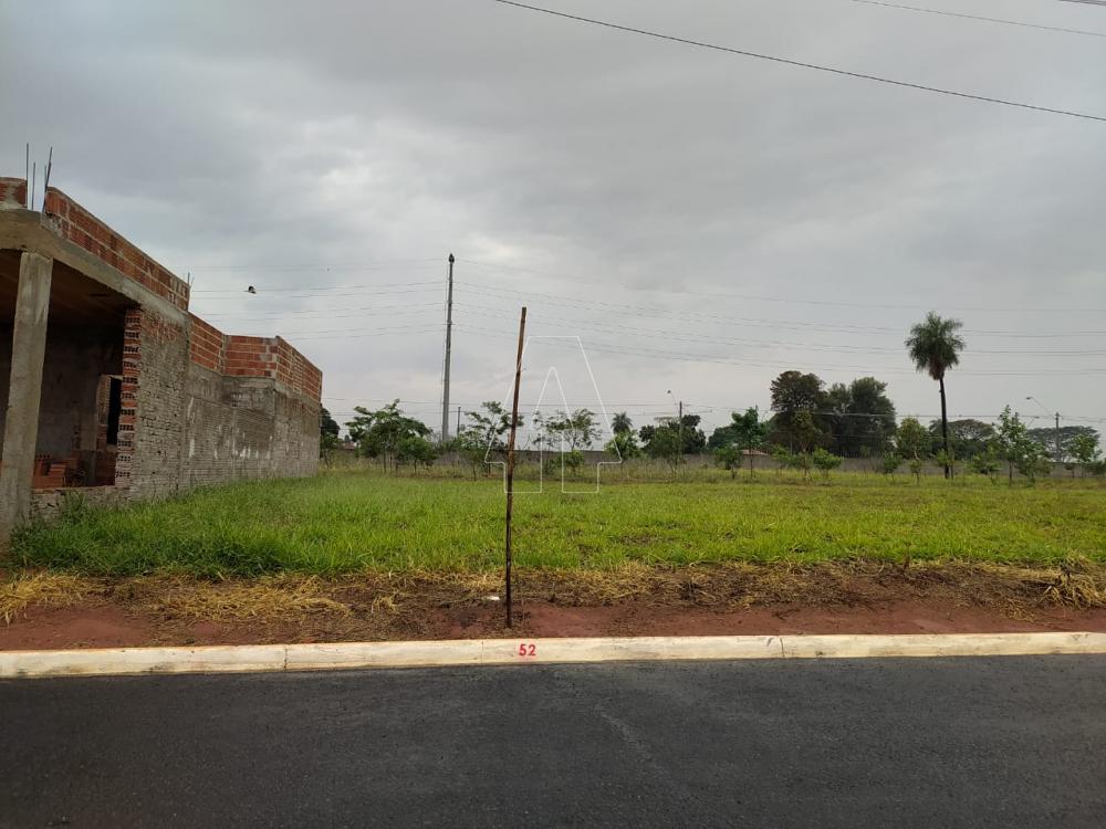 Comprar Terreno / Condomínio em Araçatuba R$ 100.000,00 - Foto 1