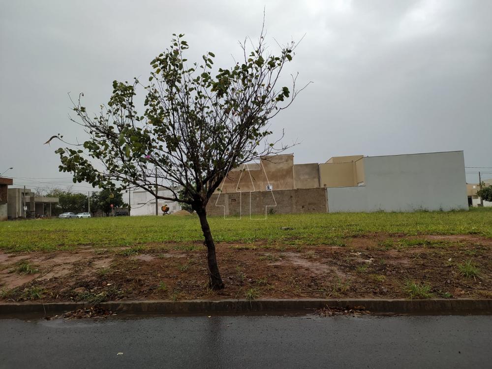 Comprar Terreno / Condomínio em Araçatuba R$ 120.000,00 - Foto 1