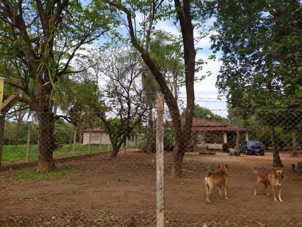 Comprar Rural / Chácara em Araçatuba R$ 750.000,00 - Foto 2